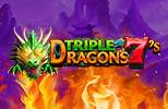 Triple Dragon 7