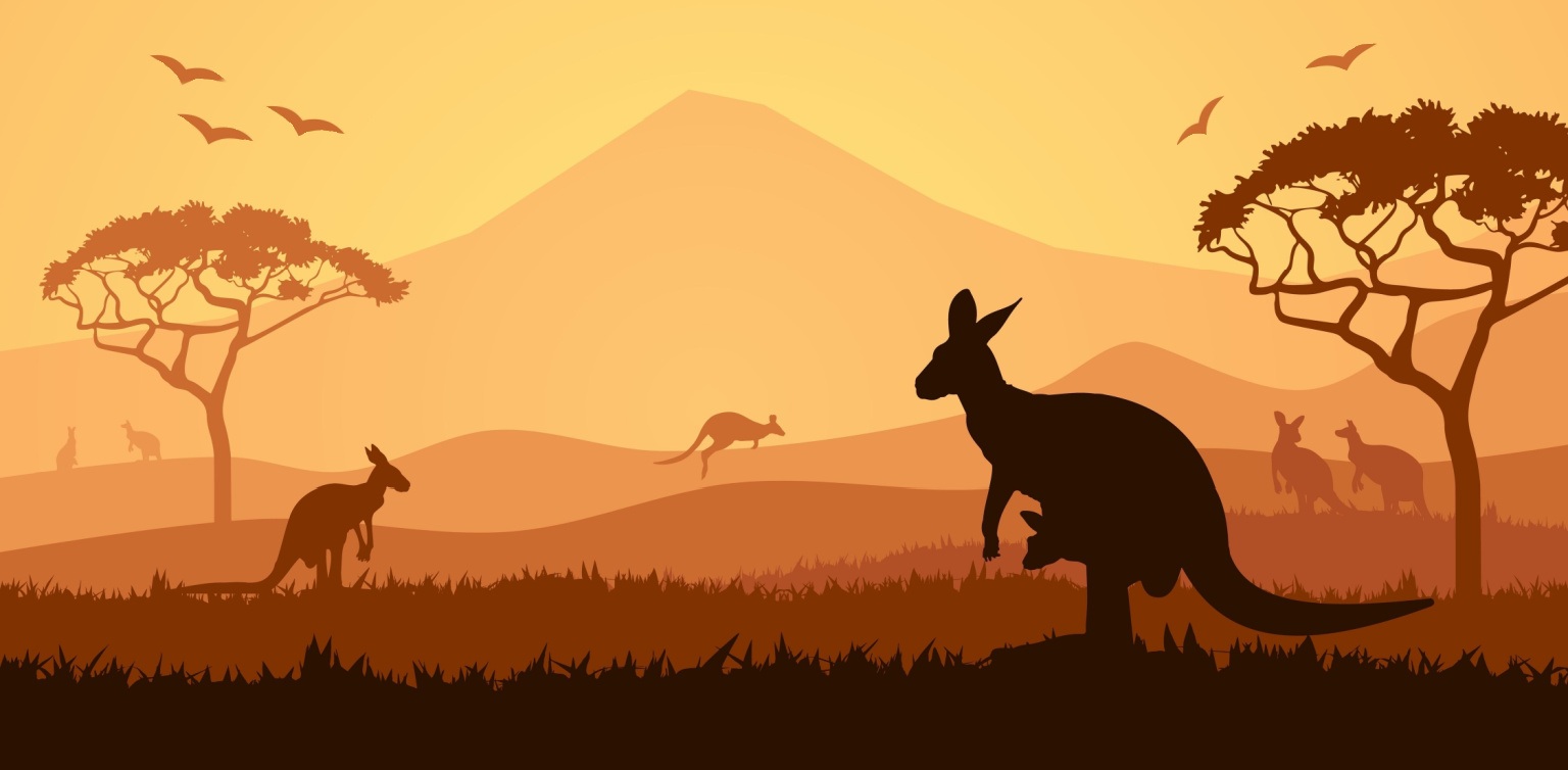 An illustration with silhouettes of kangaroos in the Australian Outback 