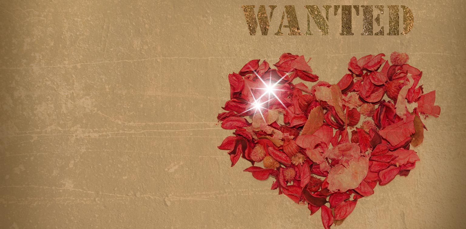 An image of a heart made of red rose petals on a brown surface with the word ‘WANTED’ above it