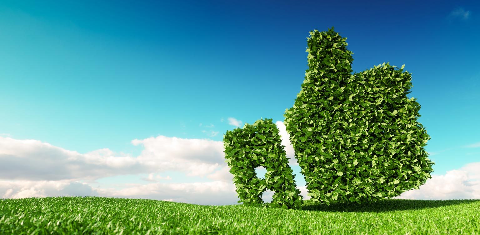 A green thumbs up made of leaves in a green meadow against a blue sky