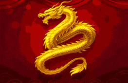 DRAGON FORTUNE COINS